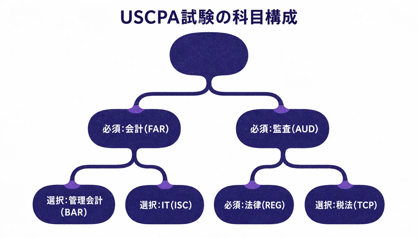 USCPA試験の必須科目と選択科目の構成図