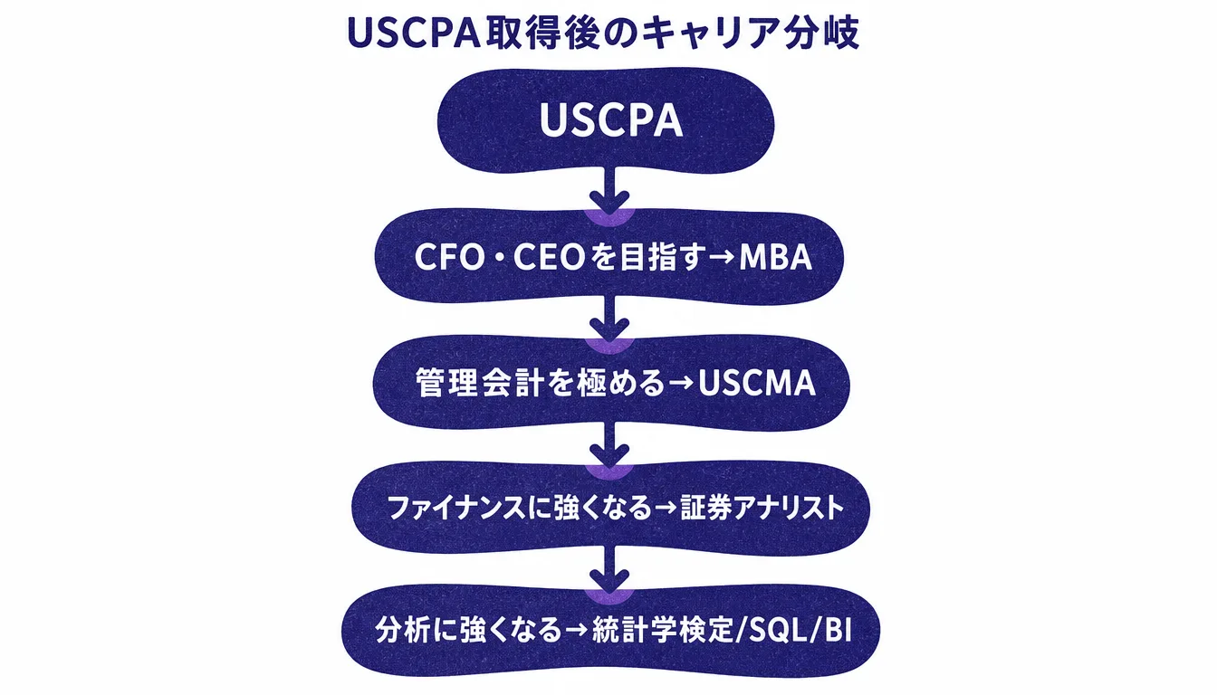 USCPA取得後のキャリア分岐と対応資格の図